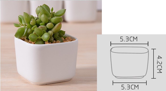 セラミックスクエアホワイト植木鉢