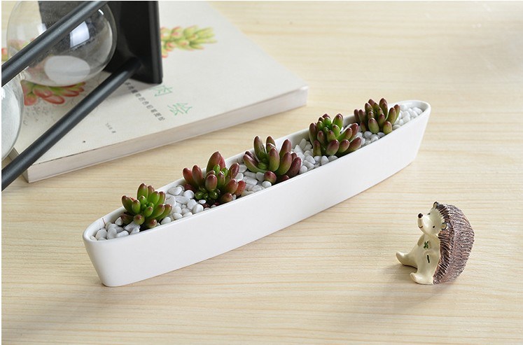 ミニパーソナライズされたセラミックオリーブボート形の白い植木鉢