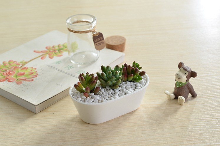 コーヒーテーブルデスク型セラミック植木鉢白いガチョウ