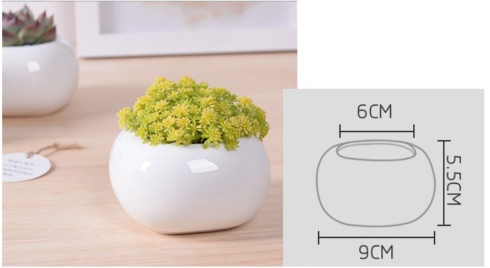 ミニデスクトップミニセラミック植木鉢
