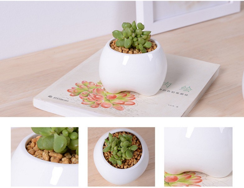 セラミックアイボリー小歯形の白い植木鉢