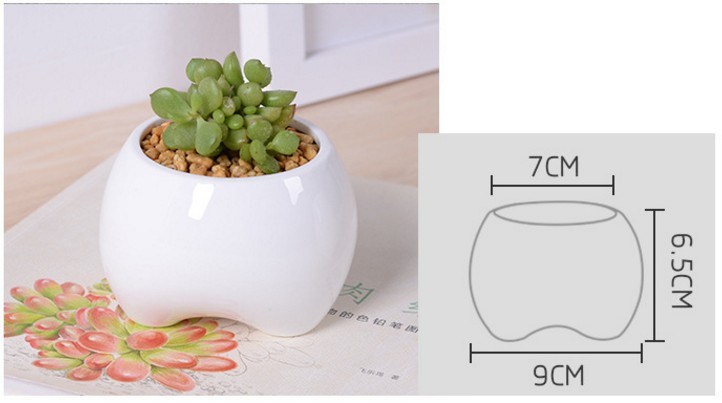 セラミックアイボリー小歯形の白い植木鉢