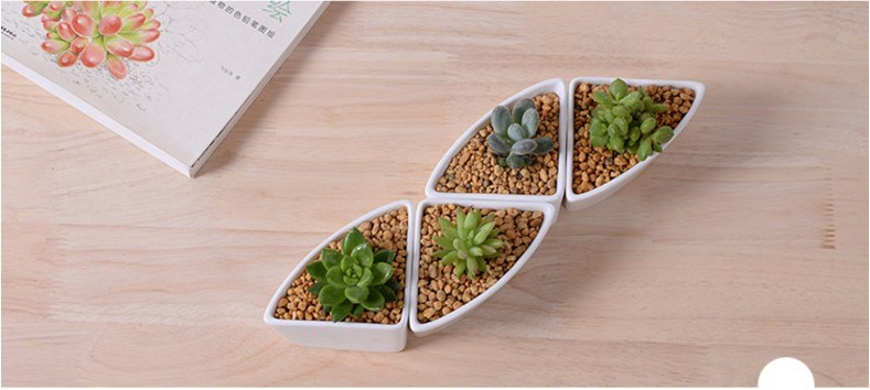 デスクトップカフェ6木製ベースセラミック植木鉢格子