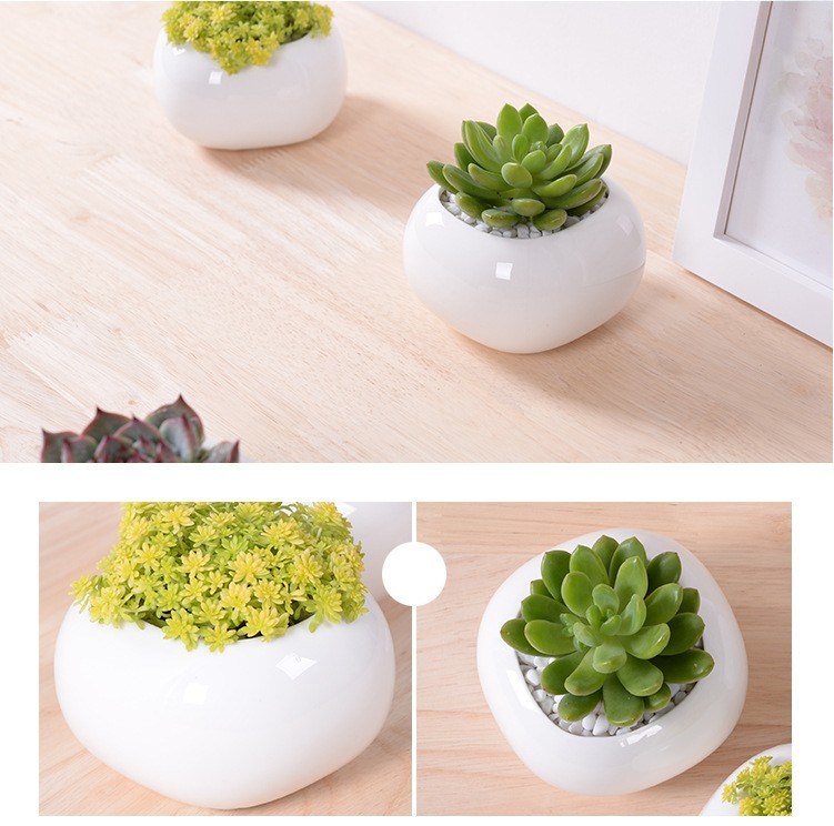 ミニデスクトップミニセラミック植木鉢