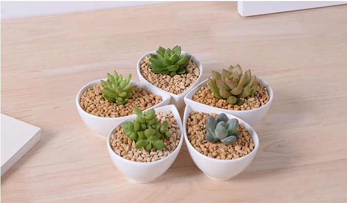 セラミックアイボリー小歯形の白い植木鉢