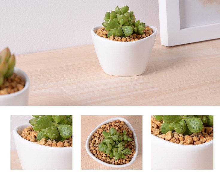 ミニデスクトップミニセラミック植木鉢