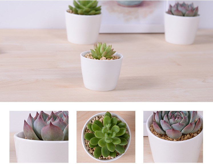 ミニパーソナライズされたセラミックオリーブボート形の白い植木鉢