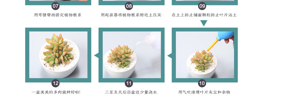 コーヒーテーブルデスク型セラミック植木鉢白いガチョウ