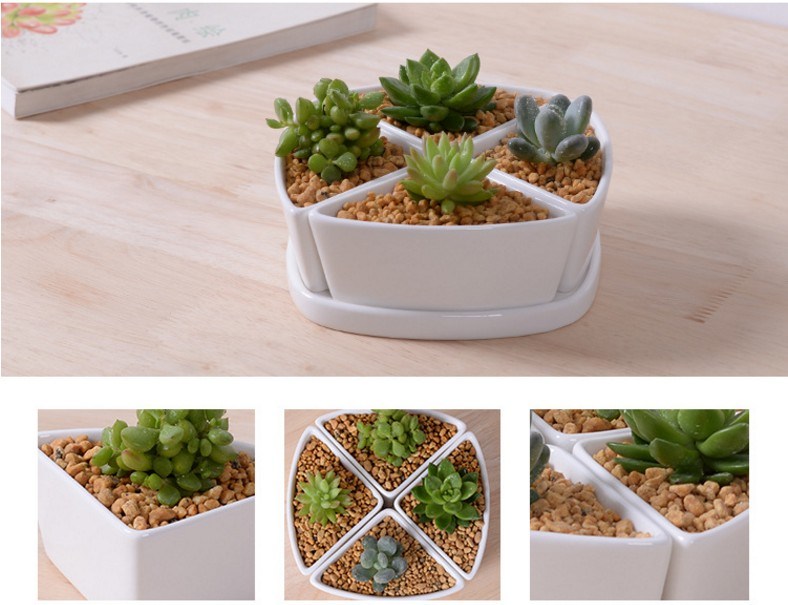 デスクトップカフェ6木製ベースセラミック植木鉢格子