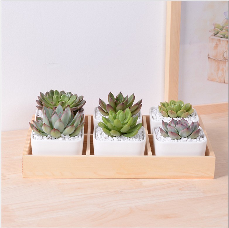 デスクトップカフェ6木製ベースセラミック植木鉢格子