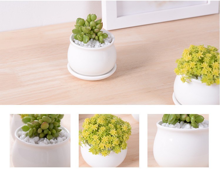 異なるサイズの工場直接白い小さなフラワーポット