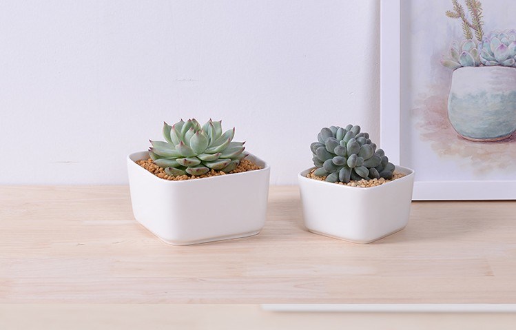 テーブルコーヒーテーブル円形大型セラミックホワイト植木鉢