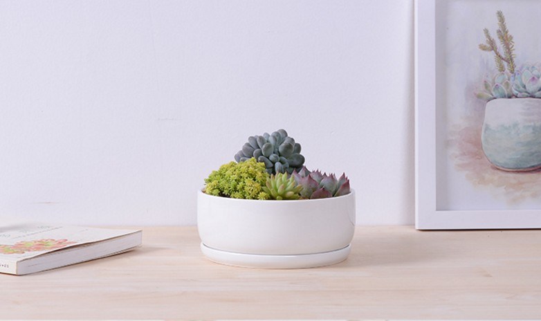 大きな白いセラミック植木鉢の円形ベース