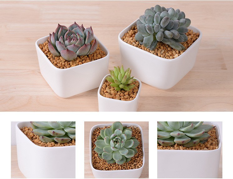 テーブルコーヒーテーブル円形大型セラミックホワイト植木鉢