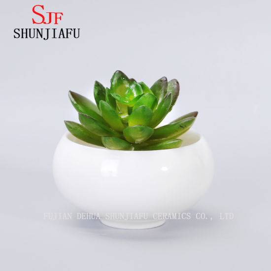 セラミックホワイトラウンドシンプルなデザインのジューシーな植木鉢