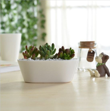 コーヒーテーブルデスク型セラミック植木鉢白いガチョウ