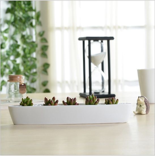 ミニパーソナライズされたセラミックオリーブボート形の白い植木鉢