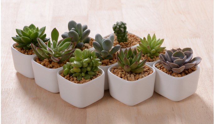 クリエイティブデスクトップデコレーションミニホワイトセラミックフラワーポット