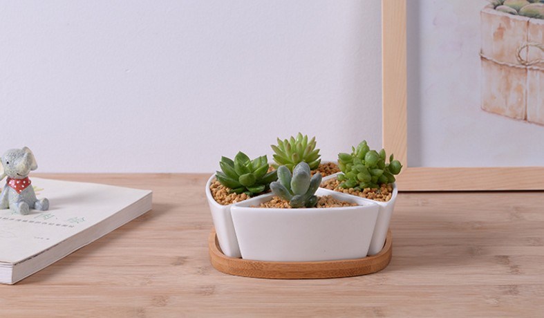 竹ベースの三角形のセラミック白い植木鉢