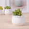 小さな丸いセラミック植木鉢商品名：スクエアセラミックポット