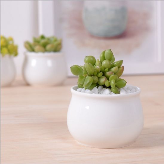 小さな丸いセラミック植木鉢商品名：スクエアセラミックポット