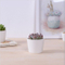 セラミックアイボリー小歯形の白い植木鉢