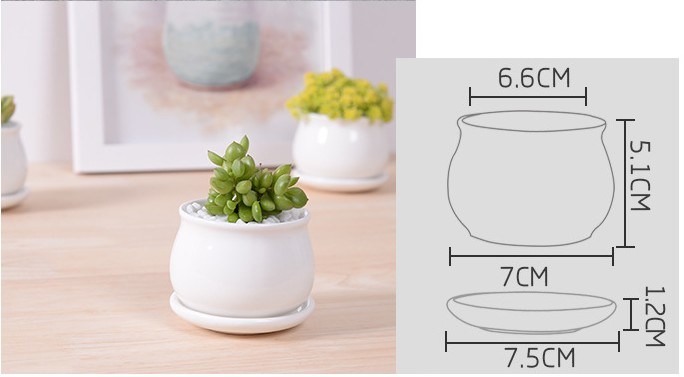 異なるサイズの工場直接白い小さなフラワーポット