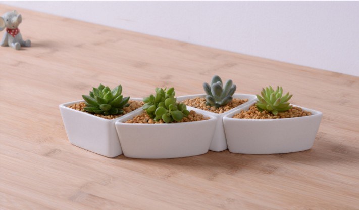 竹ベースの三角形のセラミック白い植木鉢