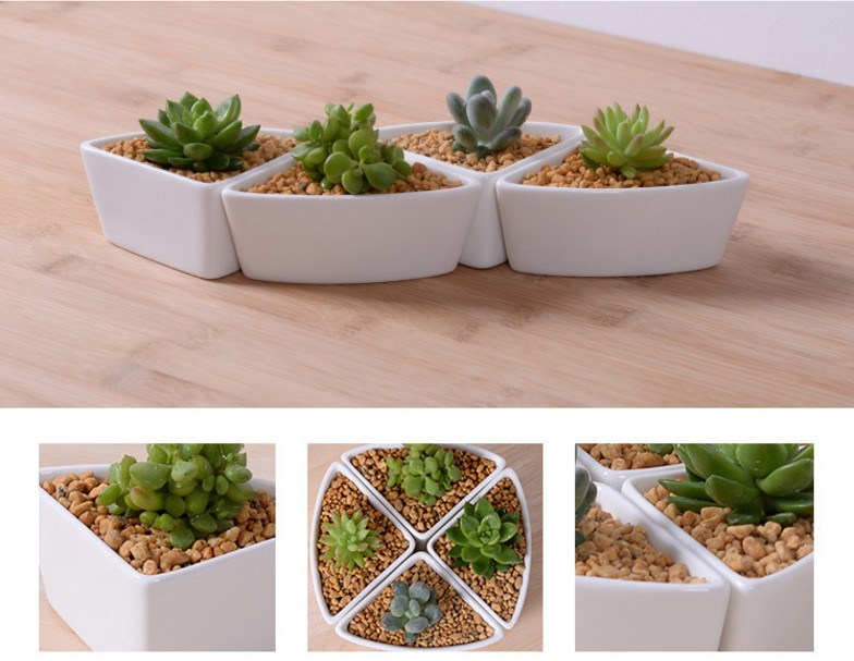 竹ベースの三角形のセラミック白い植木鉢