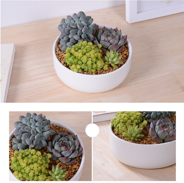 小さな丸いセラミック植木鉢商品名：スクエアセラミックポット