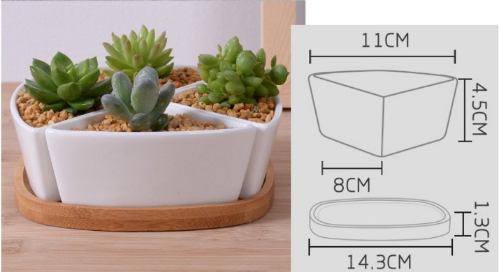 竹ベースの三角形のセラミック白い植木鉢