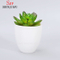 セラミックホワイトラウンドシンプルなデザインのジューシーな植木鉢